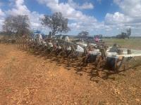 Lot 55