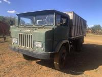 Lot 24
